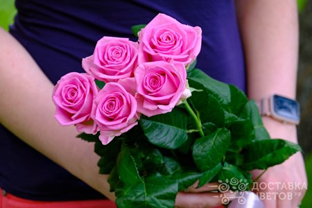 Букет из 5 розовых роз "Аква"